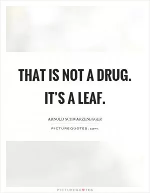 That is not a drug. It’s a leaf Picture Quote #1