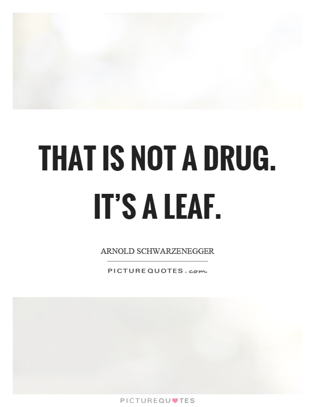 That is not a drug. It's a leaf Picture Quote #1