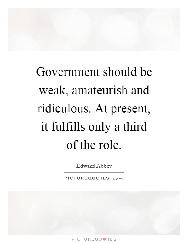 Government should be weak, amateurish and ridiculous. At present, it fulfills only a third of the role Picture Quote #1