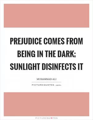 Prejudice comes from being in the dark; sunlight disinfects it Picture Quote #1