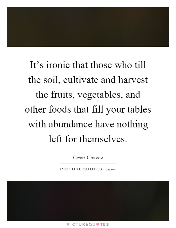 It's ironic that those who till the soil, cultivate and harvest the fruits, vegetables, and other foods that fill your tables with abundance have nothing left for themselves Picture Quote #1