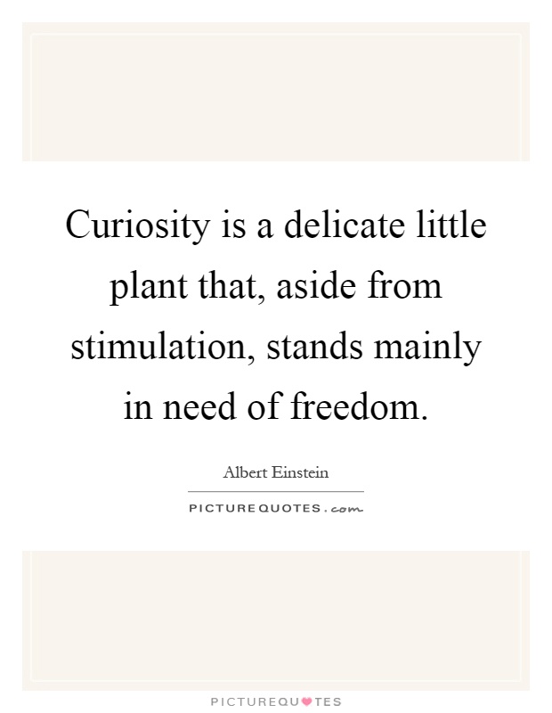 Curiosity is a delicate little plant that, aside from stimulation, stands mainly in need of freedom Picture Quote #1