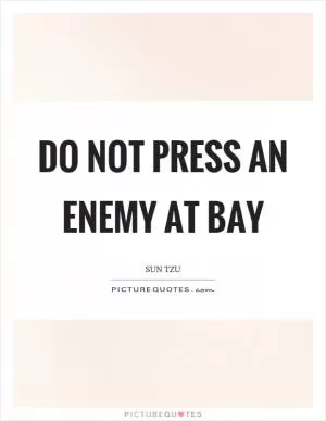 Do not press an enemy at bay Picture Quote #1