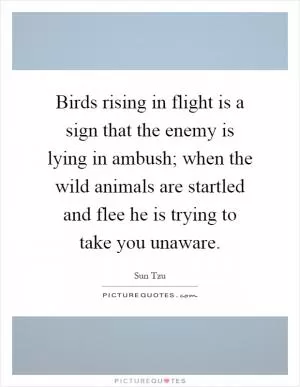 Birds rising in flight is a sign that the enemy is lying in ambush; when the wild animals are startled and flee he is trying to take you unaware Picture Quote #1