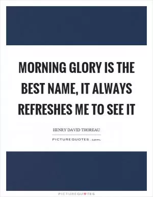 Morning glory is the best name, it always refreshes me to see it Picture Quote #1