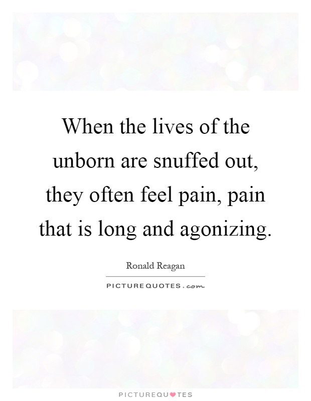 When the lives of the unborn are snuffed out, they often feel pain, pain that is long and agonizing Picture Quote #1