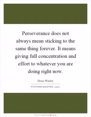 Perseverance does not always mean sticking to the same thing forever. It means giving full concentration and effort to whatever you are doing right now Picture Quote #1