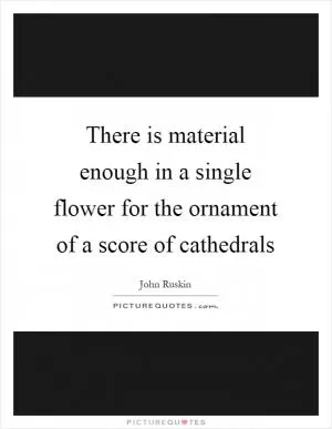 There is material enough in a single flower for the ornament of a score of cathedrals Picture Quote #1