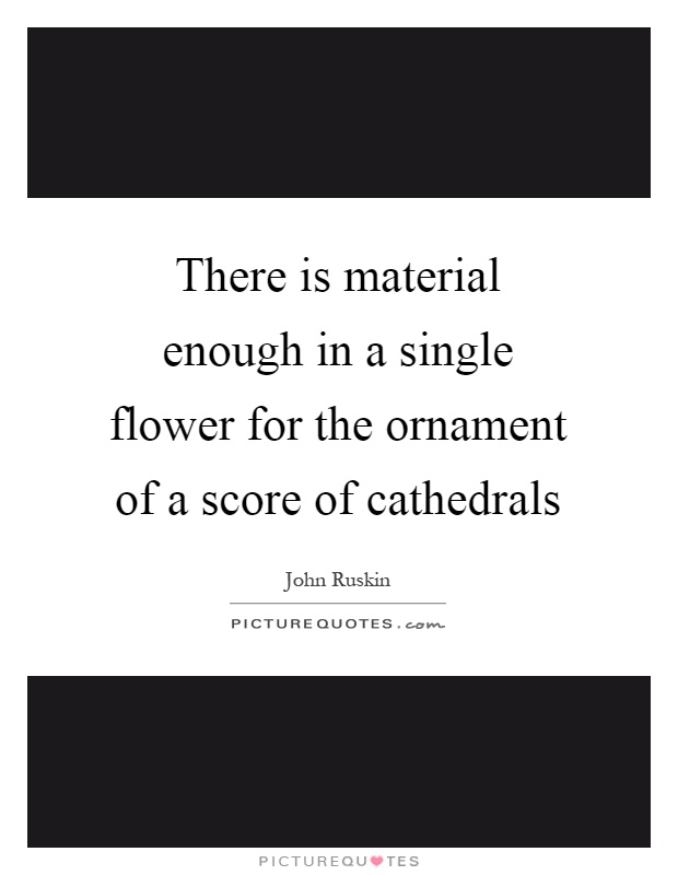 There is material enough in a single flower for the ornament of a score of cathedrals Picture Quote #1
