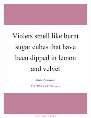 Violets smell like burnt sugar cubes that have been dipped in lemon and velvet Picture Quote #1