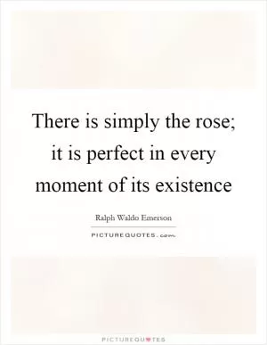 There is simply the rose; it is perfect in every moment of its existence Picture Quote #1