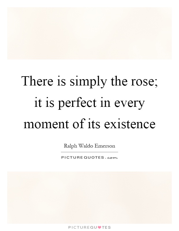 There is simply the rose; it is perfect in every moment of its existence Picture Quote #1