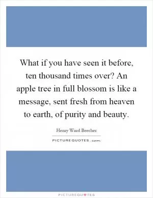 What if you have seen it before, ten thousand times over? An apple tree in full blossom is like a message, sent fresh from heaven to earth, of purity and beauty Picture Quote #1