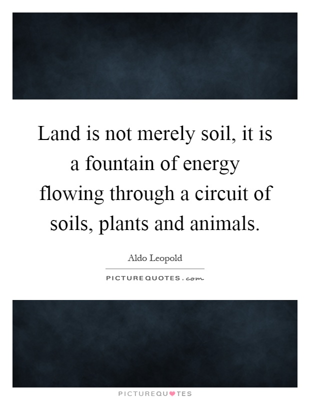 Land is not merely soil, it is a fountain of energy flowing through a circuit of soils, plants and animals Picture Quote #1