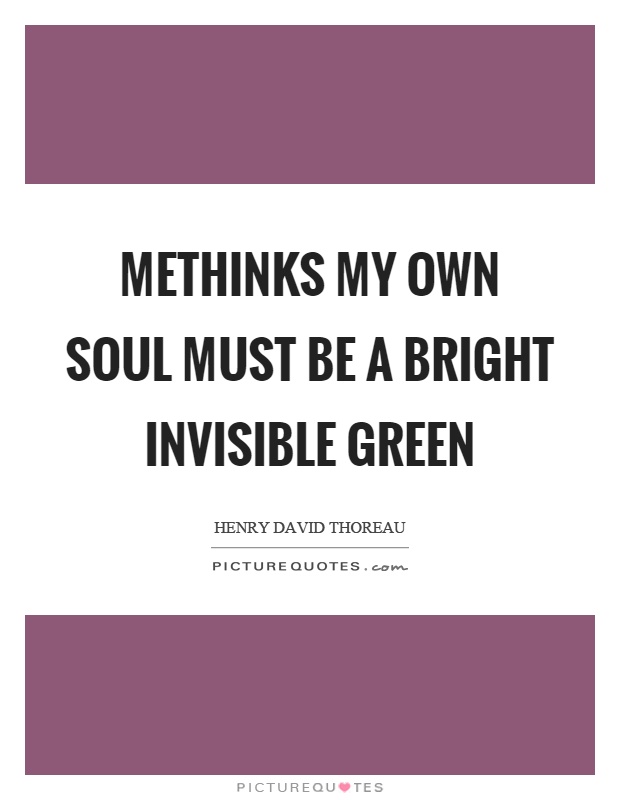 Methinks my own soul must be a bright invisible green Picture Quote #1