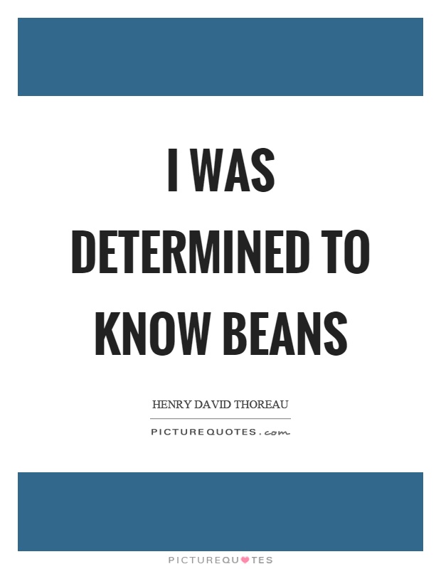 I was determined to know beans Picture Quote #1