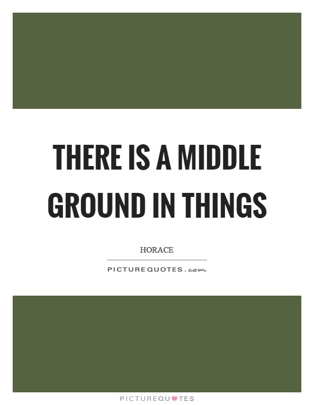 There is a middle ground in things Picture Quote #1
