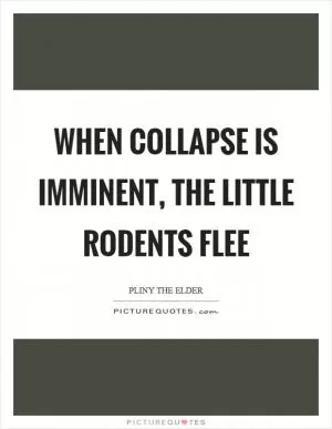 When collapse is imminent, the little rodents flee Picture Quote #1