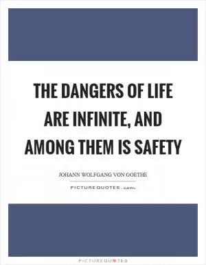 The dangers of life are infinite, and among them is safety Picture Quote #1