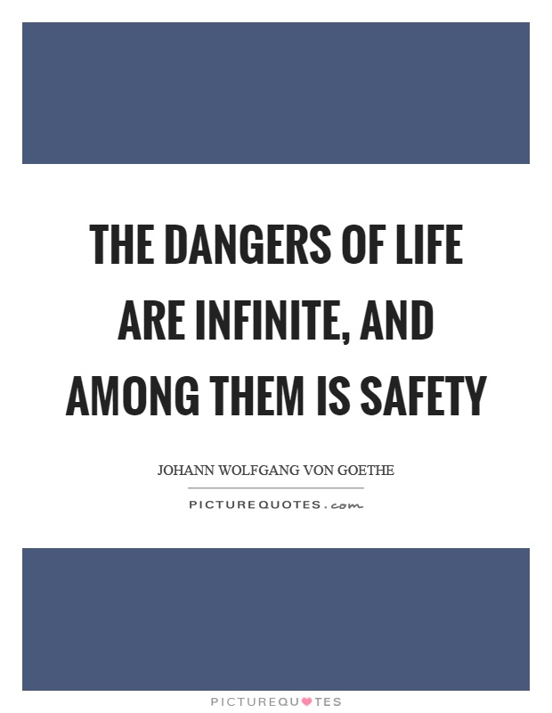 The dangers of life are infinite, and among them is safety Picture Quote #1