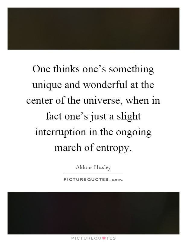 One thinks one's something unique and wonderful at the center of the universe, when in fact one's just a slight interruption in the ongoing march of entropy Picture Quote #1