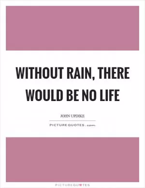 Without rain, there would be no life Picture Quote #1