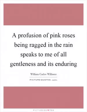 A profusion of pink roses being ragged in the rain speaks to me of all gentleness and its enduring Picture Quote #1