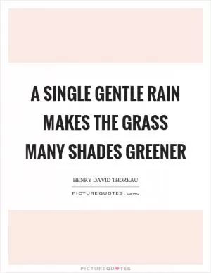 A single gentle rain makes the grass many shades greener Picture Quote #1