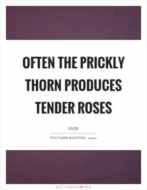 Often the prickly thorn produces tender roses Picture Quote #1