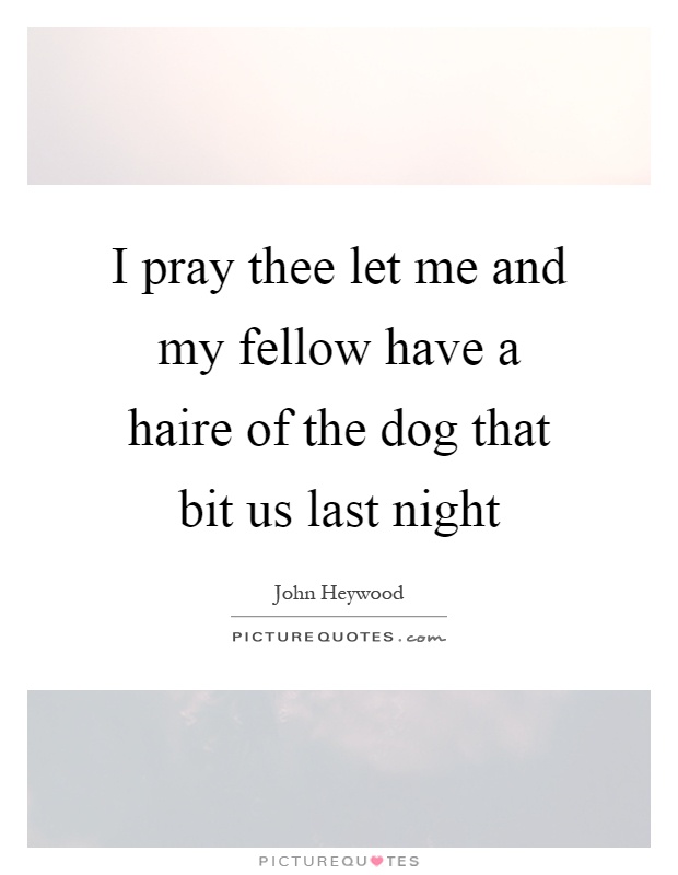 I pray thee let me and my fellow have a haire of the dog that bit us last night Picture Quote #1