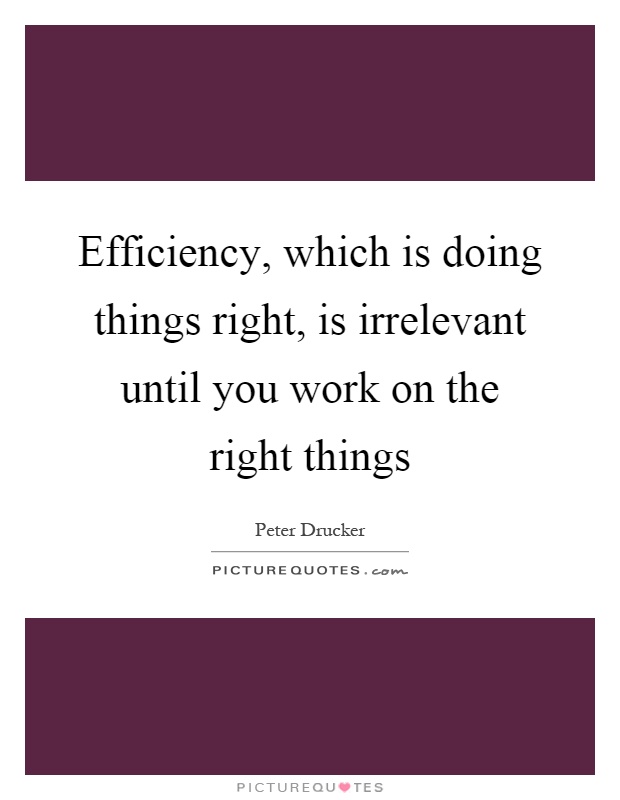 Efficiency, which is doing things right, is irrelevant until you work on the right things Picture Quote #1