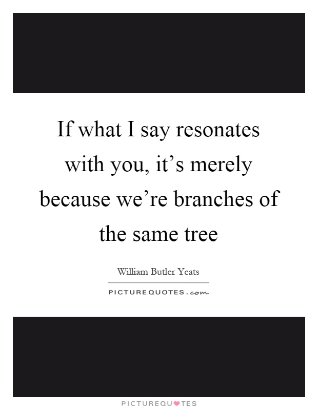 If what I say resonates with you, it's merely because we're branches of the same tree Picture Quote #1