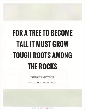 For a tree to become tall it must grow tough roots among the rocks Picture Quote #1