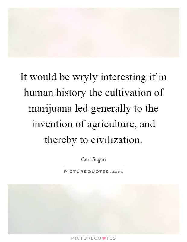 It would be wryly interesting if in human history the cultivation of marijuana led generally to the invention of agriculture, and thereby to civilization Picture Quote #1