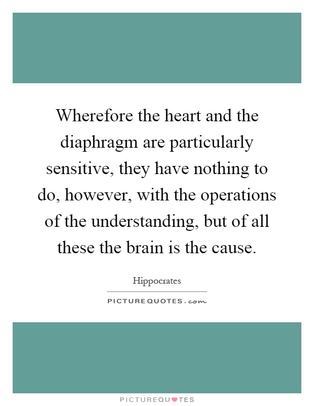Wherefore the heart and the diaphragm are particularly sensitive, they have nothing to do, however, with the operations of the understanding, but of all these the brain is the cause Picture Quote #1