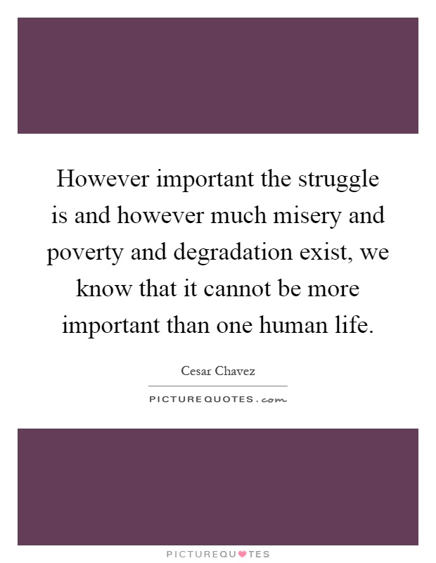 However important the struggle is and however much misery and poverty and degradation exist, we know that it cannot be more important than one human life Picture Quote #1