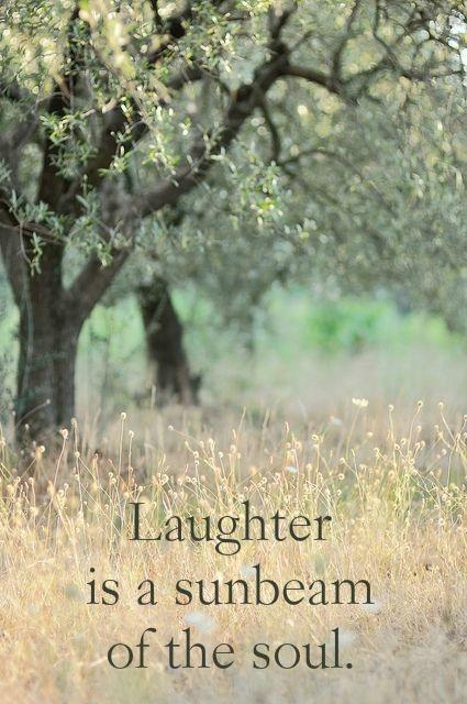 Laughter is a sunbeam of the soul Picture Quote #2