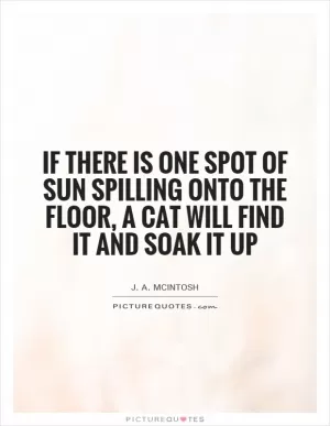 If there is one spot of sun spilling onto the floor, a cat will find it and soak it up Picture Quote #1