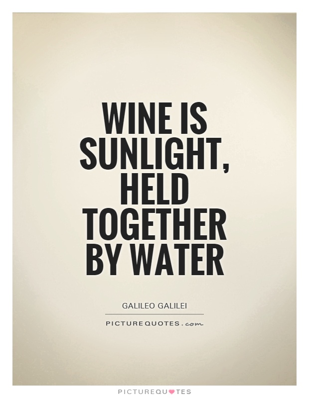 Wine is sunlight, held together by water Picture Quote #1