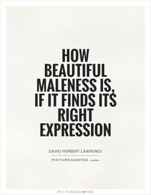 How beautiful maleness is, if it finds its right expression Picture Quote #1