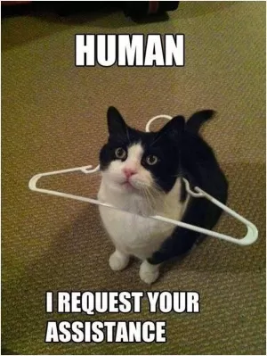 Human I request your assistance Picture Quote #1