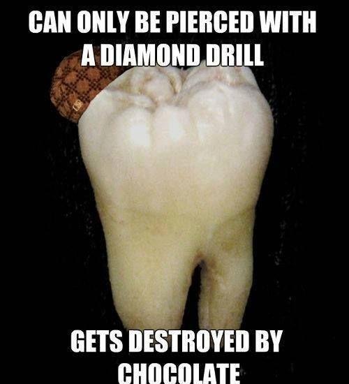 Can only be pierced with a diamond drill. Gets destroyed by chocolate Picture Quote #1