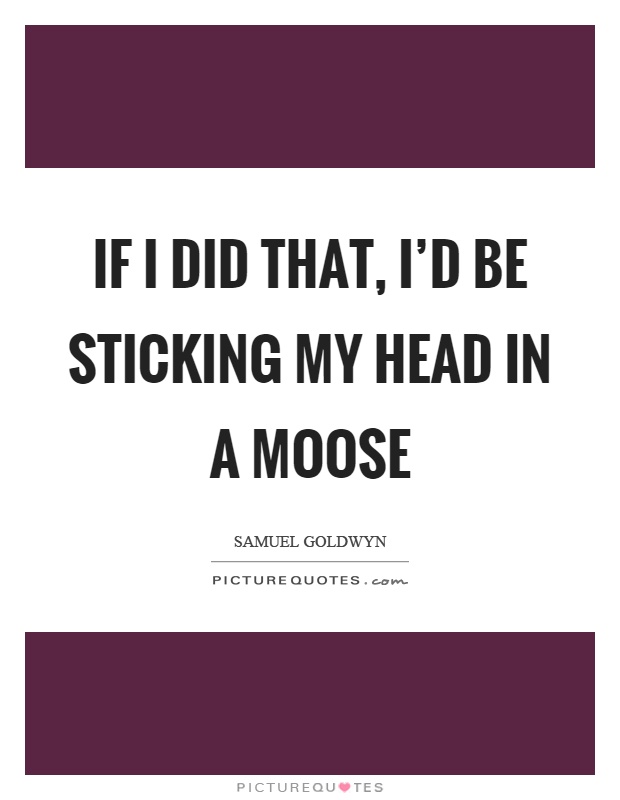 If I did that, I'd be sticking my head in a moose Picture Quote #1