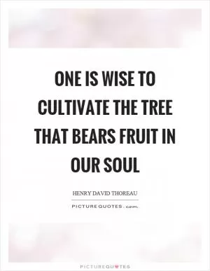One is wise to cultivate the tree that bears fruit in our soul Picture Quote #1