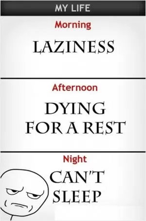 My life. Morning. Laziness. Afternoon. Dying for a rest. Night. Can’t sleep Picture Quote #1