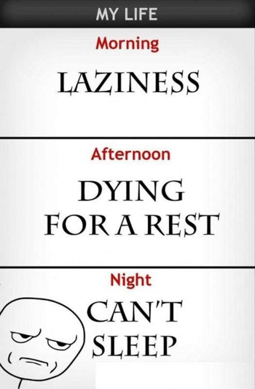 My life. Morning. Laziness. Afternoon. Dying for a rest. Night. Can't sleep Picture Quote #1