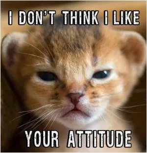 I don’t think I like your attitude Picture Quote #1