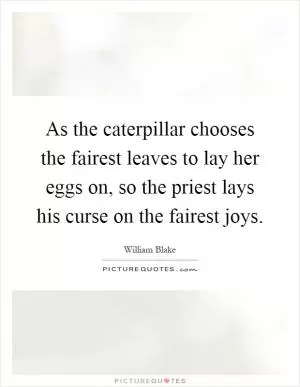 As the caterpillar chooses the fairest leaves to lay her eggs on, so the priest lays his curse on the fairest joys Picture Quote #1