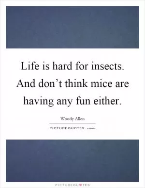 Life is hard for insects. And don’t think mice are having any fun either Picture Quote #1