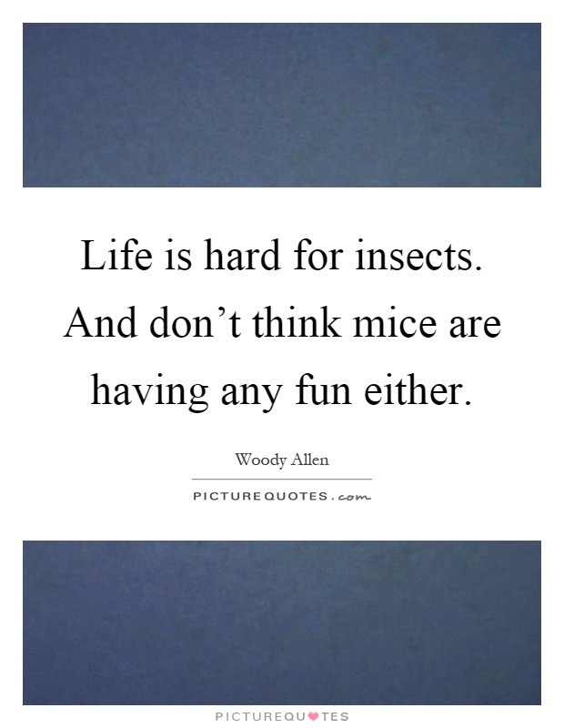 Life is hard for insects. And don't think mice are having any fun either Picture Quote #1